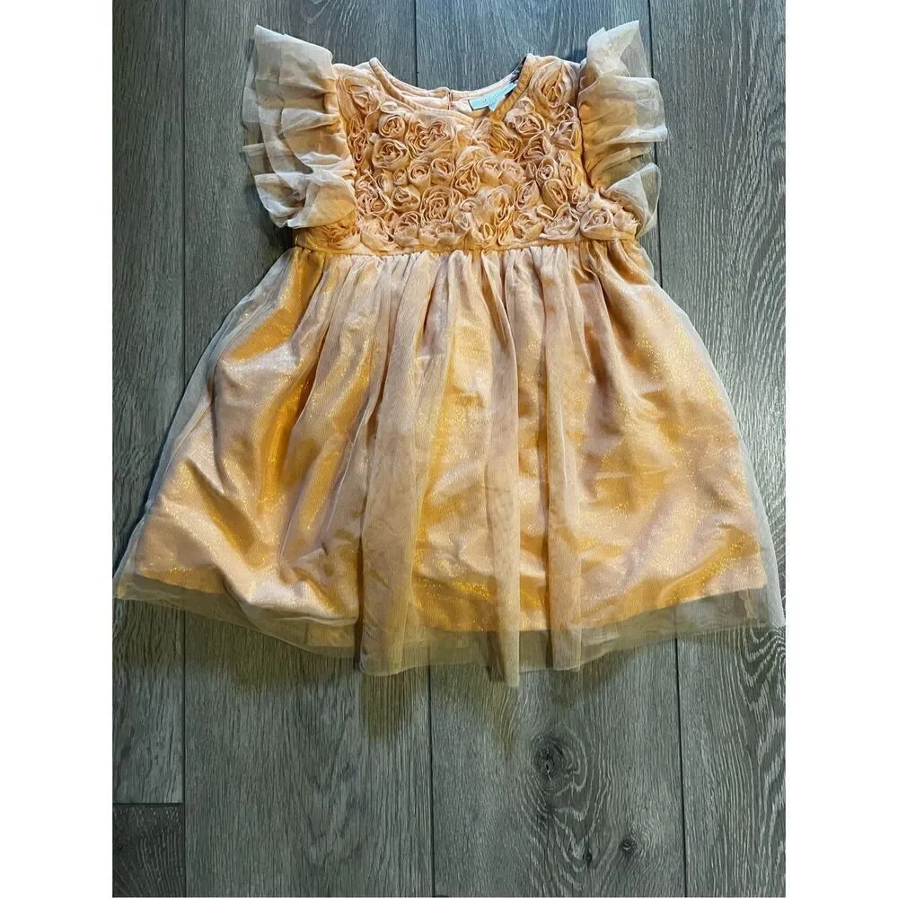 Cat & Jack Girls Size 3T Casual Dress Peach Pink Fir Flare Tulle Sleeve
